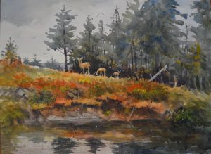 "Monhegan Deer"