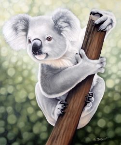 Koala prints available funds raised will go to WIRES Wildlife Rescue in Australia.